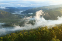 ���˰���ɭ����������