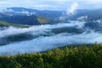 �����ֺ���������