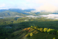 ��ɫ�ֺ���������