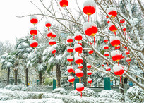 ��԰�����