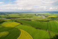 ������������Ұ