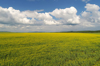 ��Ұũ���Ͳ˻��羰