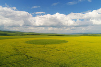 ��Ұ�Ͳ˻����ķ羰 