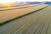 ������Ұ���