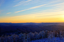 ѩ��ɭ�ֲ���