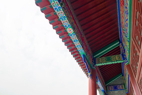 ش½ֲ