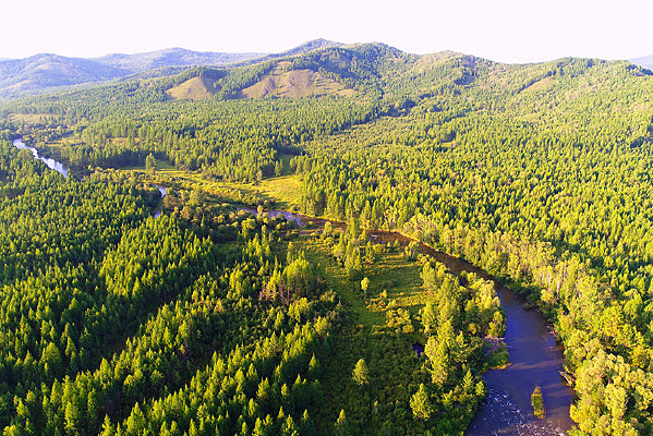 ���Ĵ��˰����＾ɭ�ֺ���