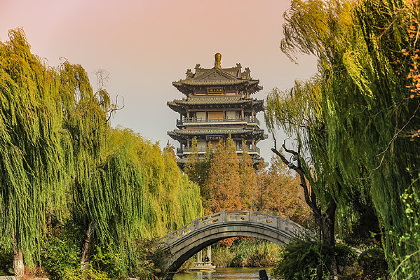 ���ϴ�������Ȼ¥