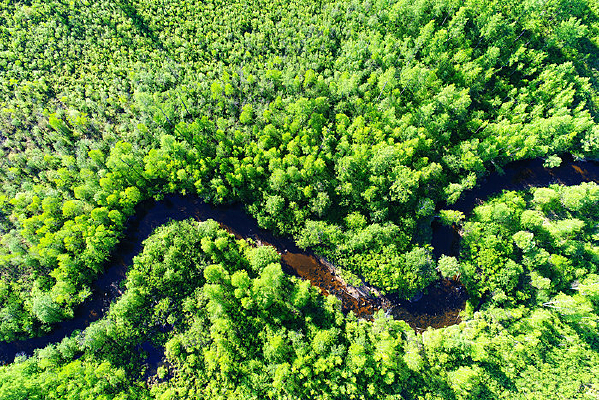 Į��������ɫ���ֺ���