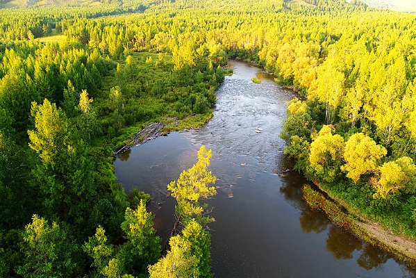 ɭ�ֺ�����ɫ