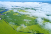 ���ĳ����е���԰��� 