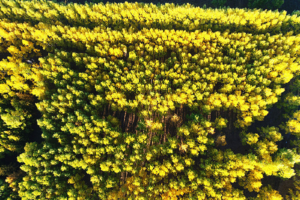 �������ս�ɫ����