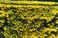 �������ս�ɫ����