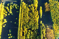 �������ս�ɫ���� 