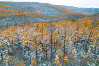 ������ѩ����̽�ɽ�� 