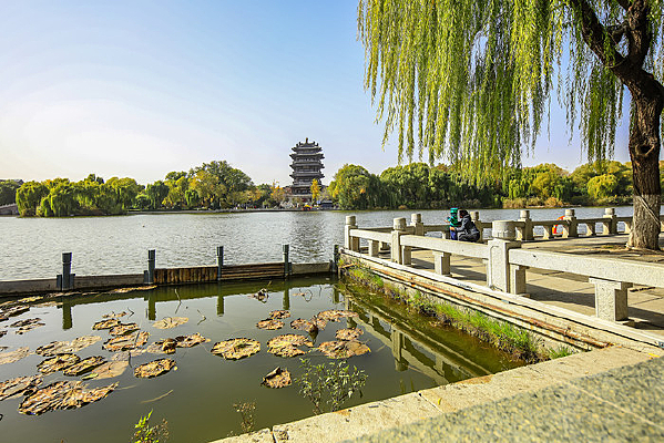 �����д�������Ȼ¥���