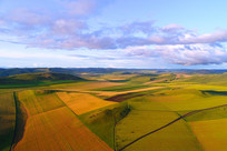 ������Ұ��ɫ