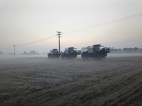 ����ũ��˪����