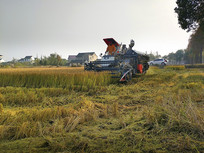 �����ո�æ