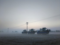 ����˪����