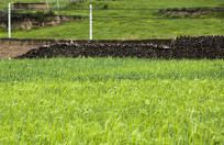 ��ԭ������