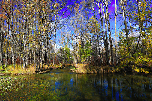 ���˰���ɭ�ֺ��ﾰ 