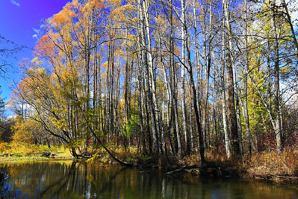 ���˰���С�Ӳ����ﾰ 