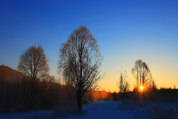 ���˰���ѩԭ�ճ�