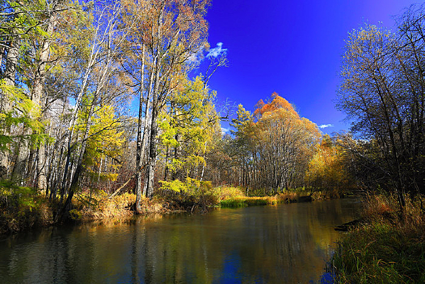 ����������ɫ 