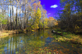 ������ֺ����羰