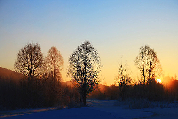 �ֺ�ѩԭ�ճ�