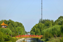 ����С�º��ϵĲʺ���