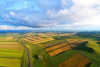 ����������Ұ��ɫ 