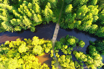 ���Ĵ��˰����ֺ����� 