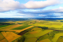 ����������Ұ��ɫ 