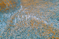 �����＾�����ѩ��