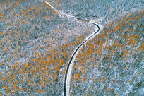 ɽ����ѩ���ѵ�ɽ·