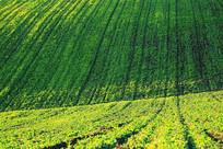 ��������������ũ����羰