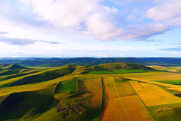 ���Ľ�ɫ����Ұ