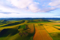 ���Ľ�ɫ����Ұ