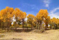 ��������ַ��