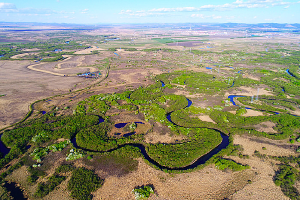 ï��������ɫ����