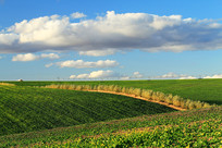 ũ������ַ羰