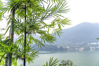 ������дͼƬ�ز�