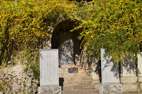 ʯ�����۽���