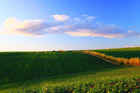 ��Ұ�����ط羰