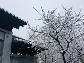 雪中大门