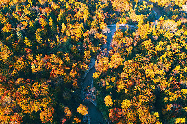 ����ɽɭ�ֺ��ﾰ