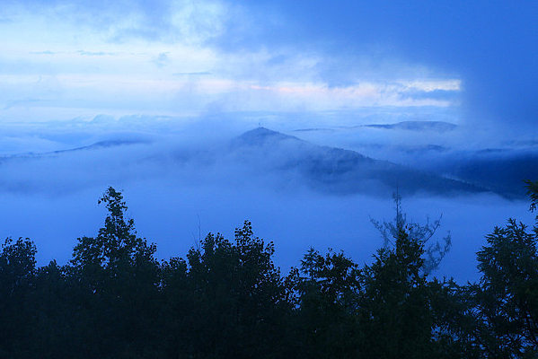 ���˰�������ɭ���ƺ�