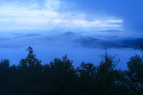 ���˰�������ɭ���ƺ�